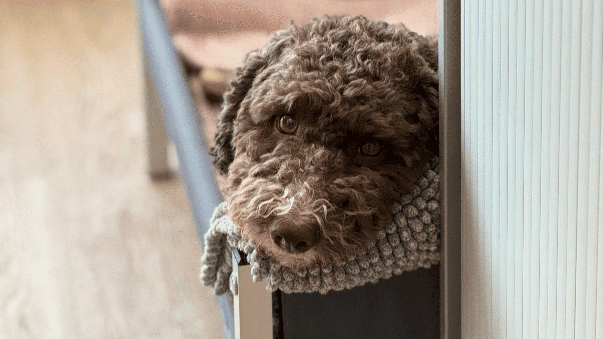 Otto So arbeitet wikiSana wirklich Ein Blick in meinen Alltag warum jeder Schritt dieser Plattform eine Botschaft traegt